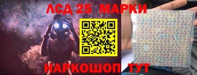 шишки Балашиха