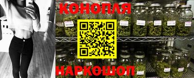 шишки Балашиха