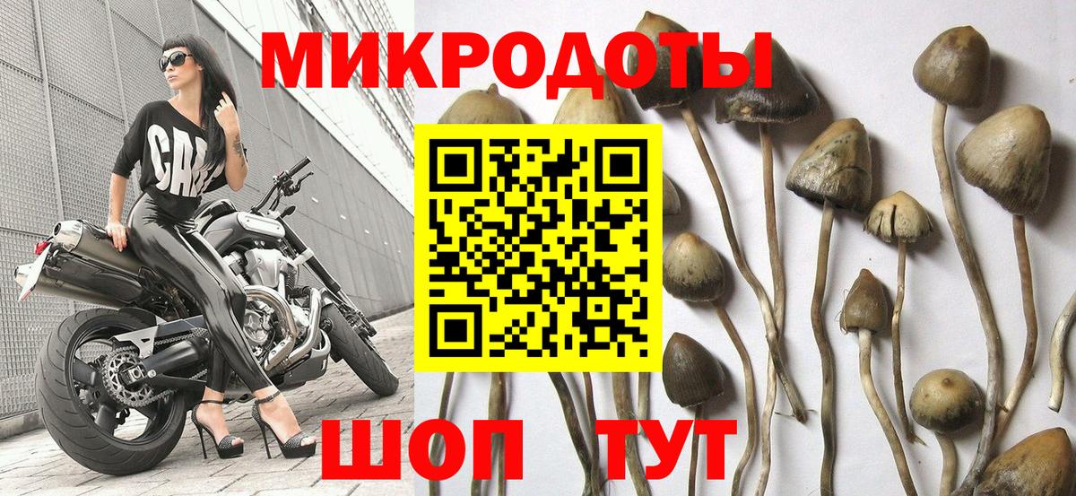 Камень-на-Оби  Галлюциногенные грибы ЛСД  цена   Вход с VPN 