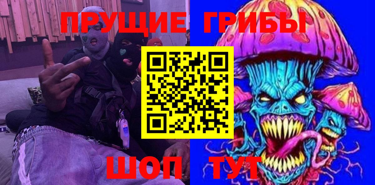 Галлюциногенные грибы мухоморы  Камень-на-Оби  Псилоцибиновые грибы Psilocybe 